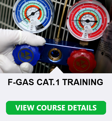 Fgas-Cat-1-Block-1